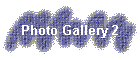 Photo Gallery 2